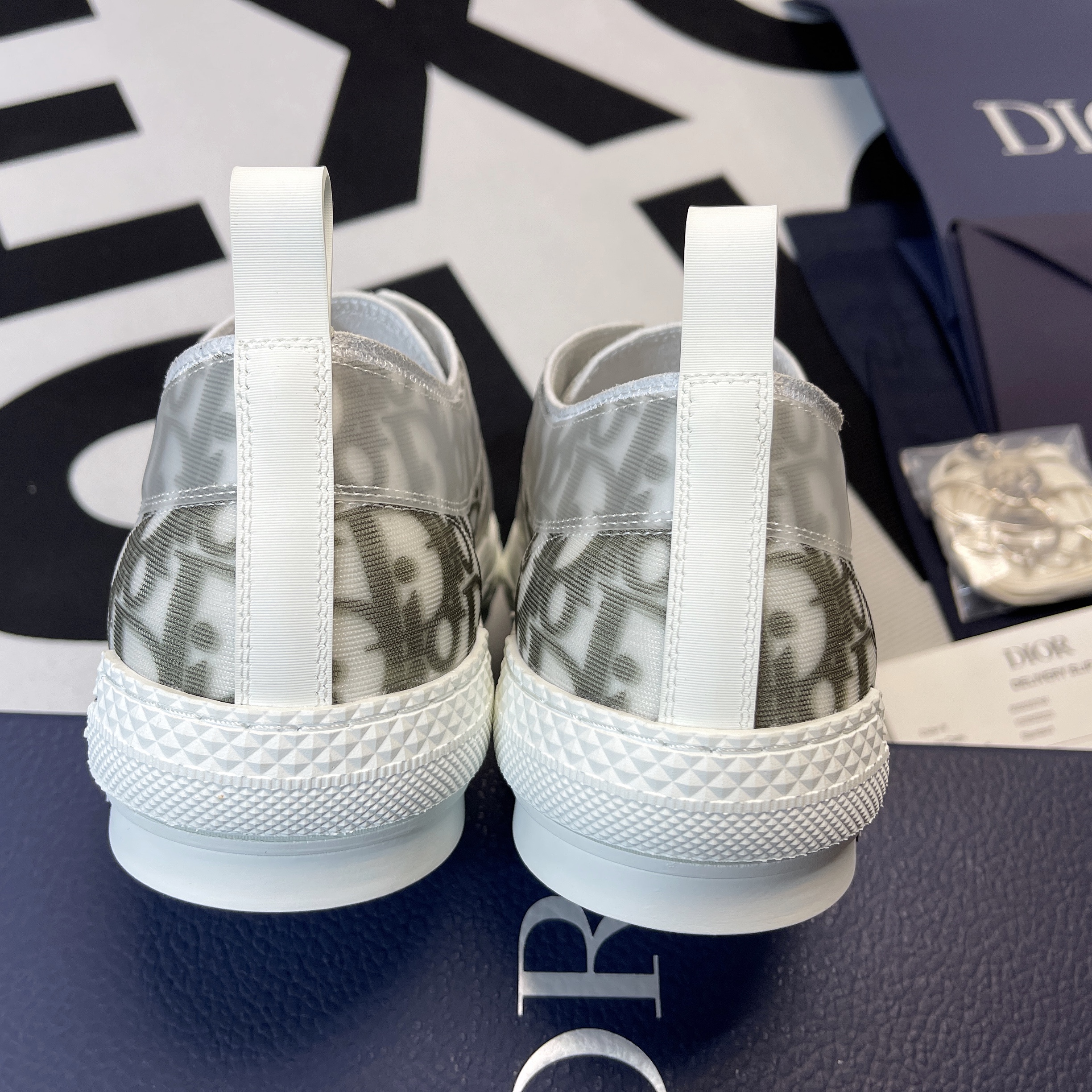 Dioorr B23 Low Top Logo Oblique 3SN249YJP_H069