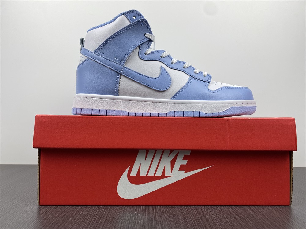Nike Dunk High Aluminum (W) DD1869-107
