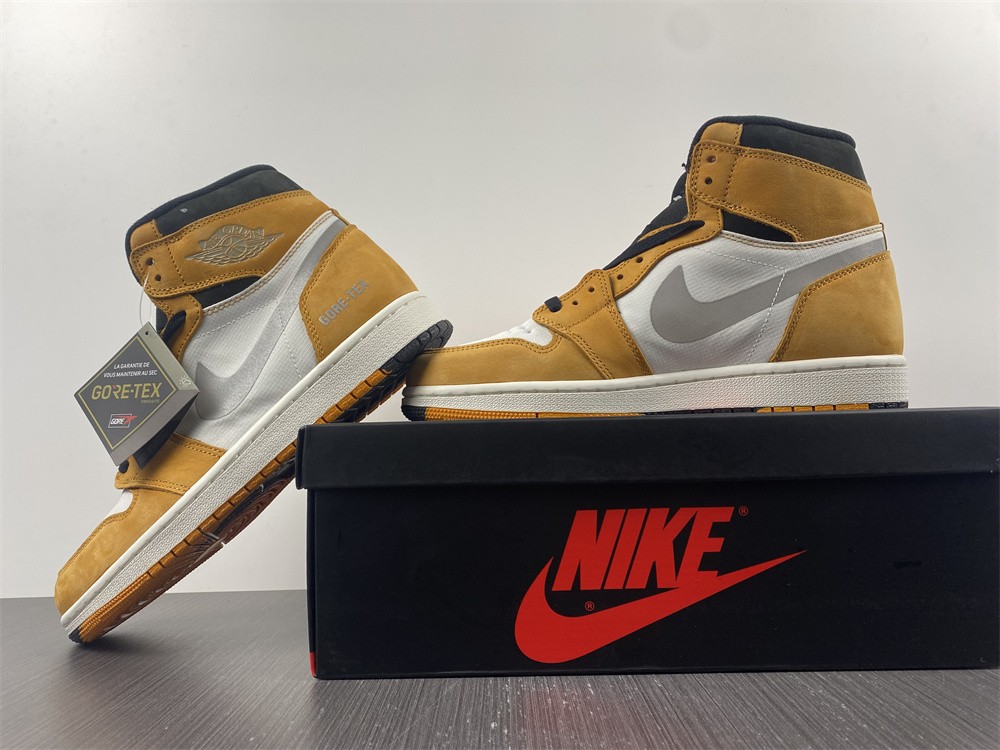 Air Jordan 1 Element  DB2889-700