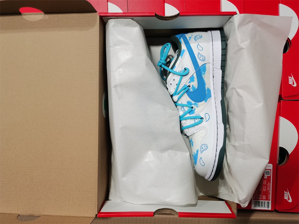 Nike Dunk Low RETRO DH0952-100