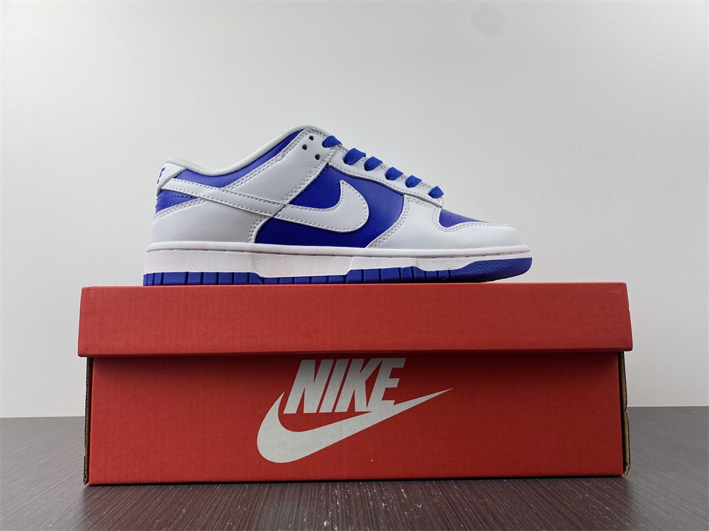 Nike Dunk Low DD1391-104
