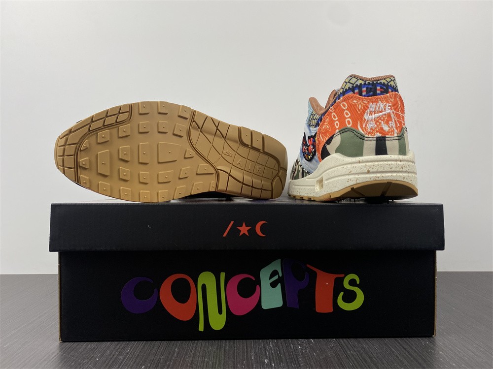 Nike Air Max 1 SP Concepts Heavy  DN1803-900