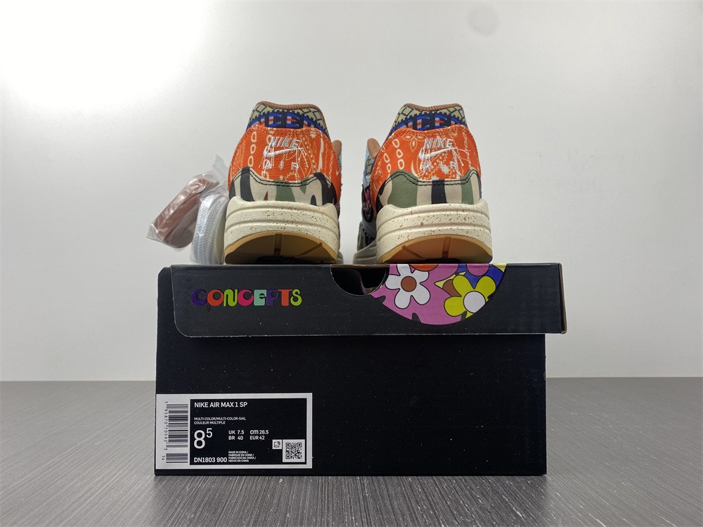 Nike Air Max 1 SP Concepts Heavy  DN1803-900