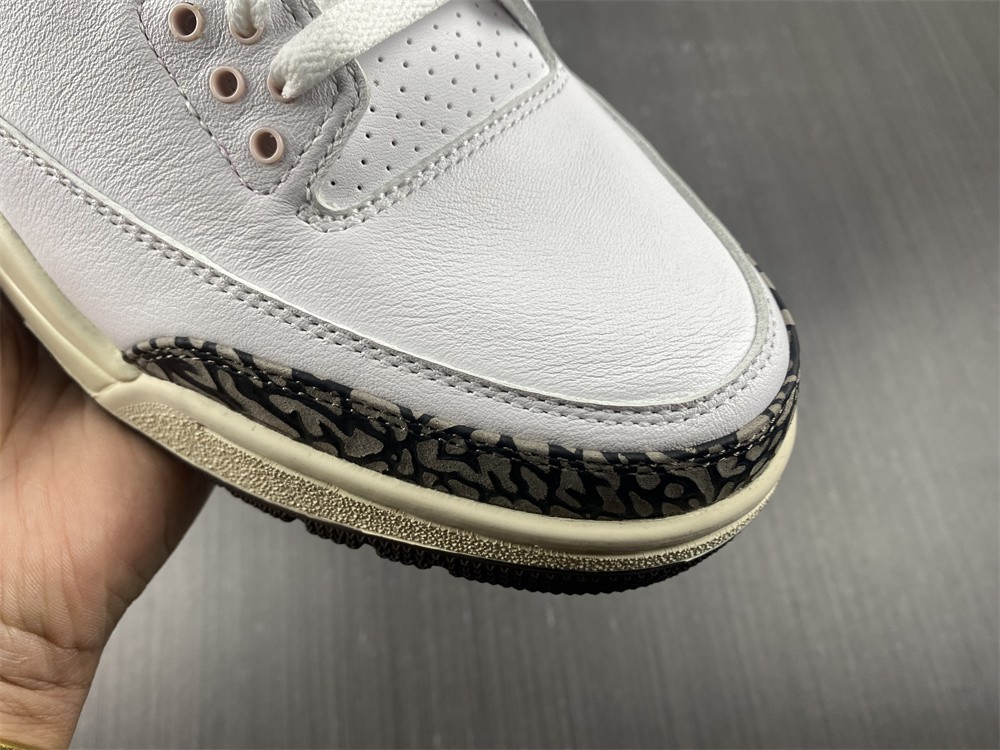 Nike Air Jordan 3 Retro Neapolitan Dark Mocha CK9246-102