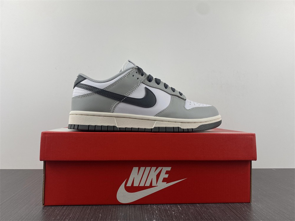 Nike Dunk Low Light Smoke Grey  DD1503-117
