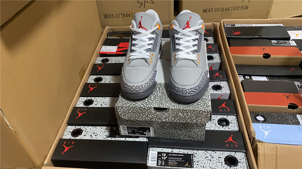 Air Jordan 3``Cool Gray
