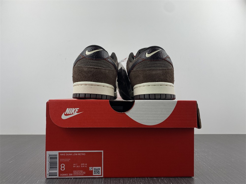 Dunk Low Retro brown DQ8801-200