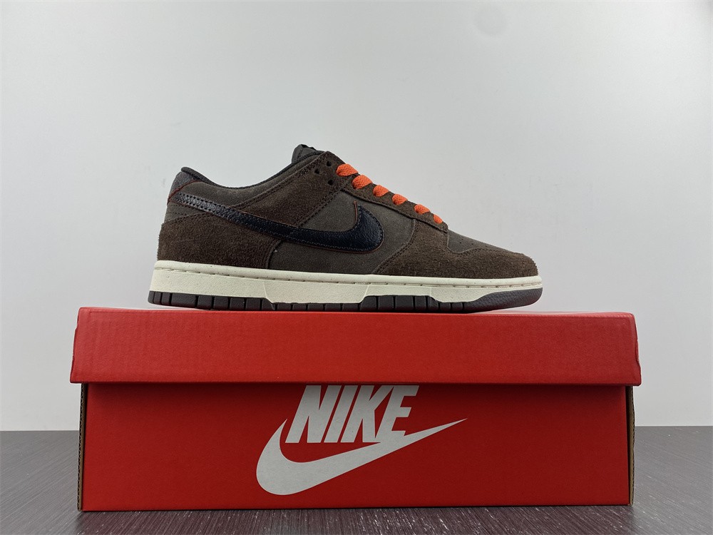 Dunk Low Retro brown DQ8801-200