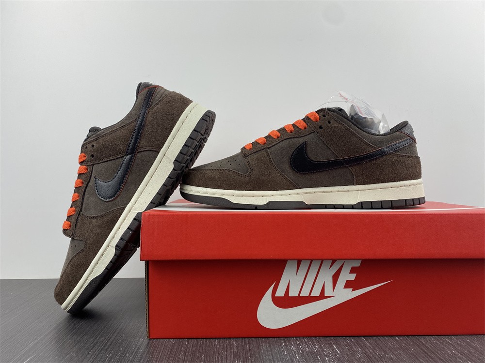 Dunk Low Retro brown DQ8801-200