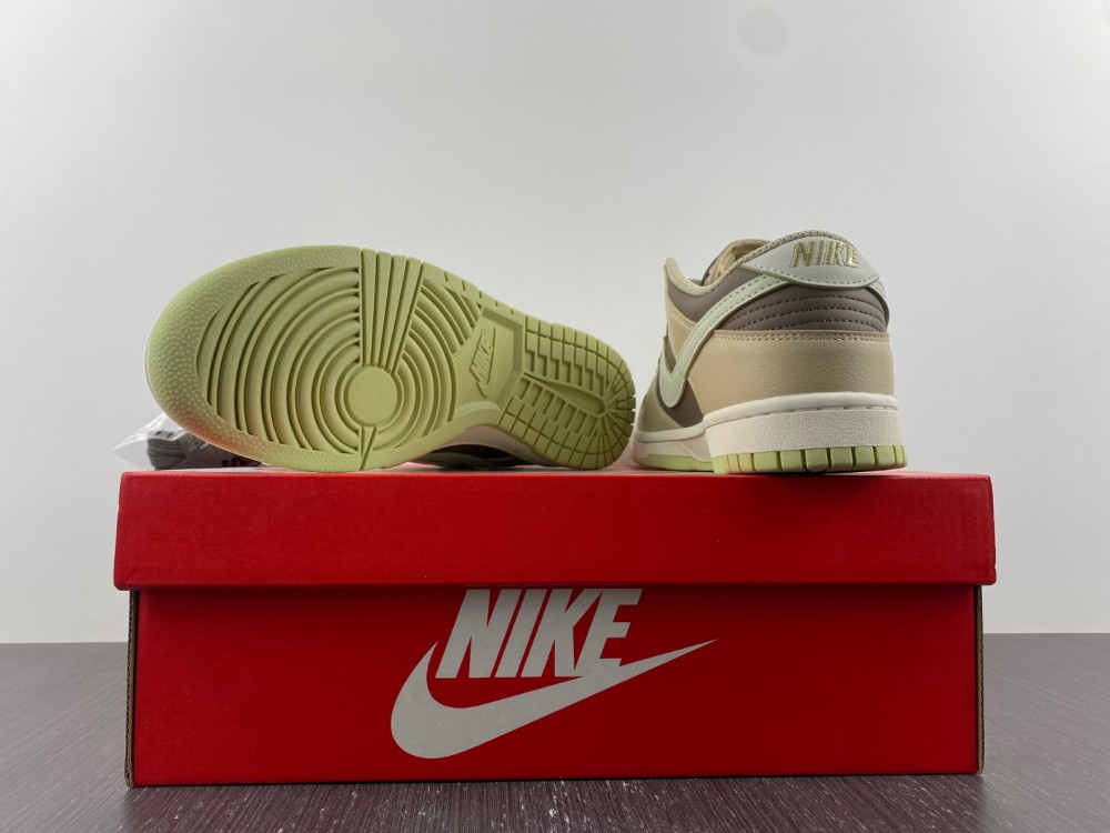 Dunk SB Low FB4961-012