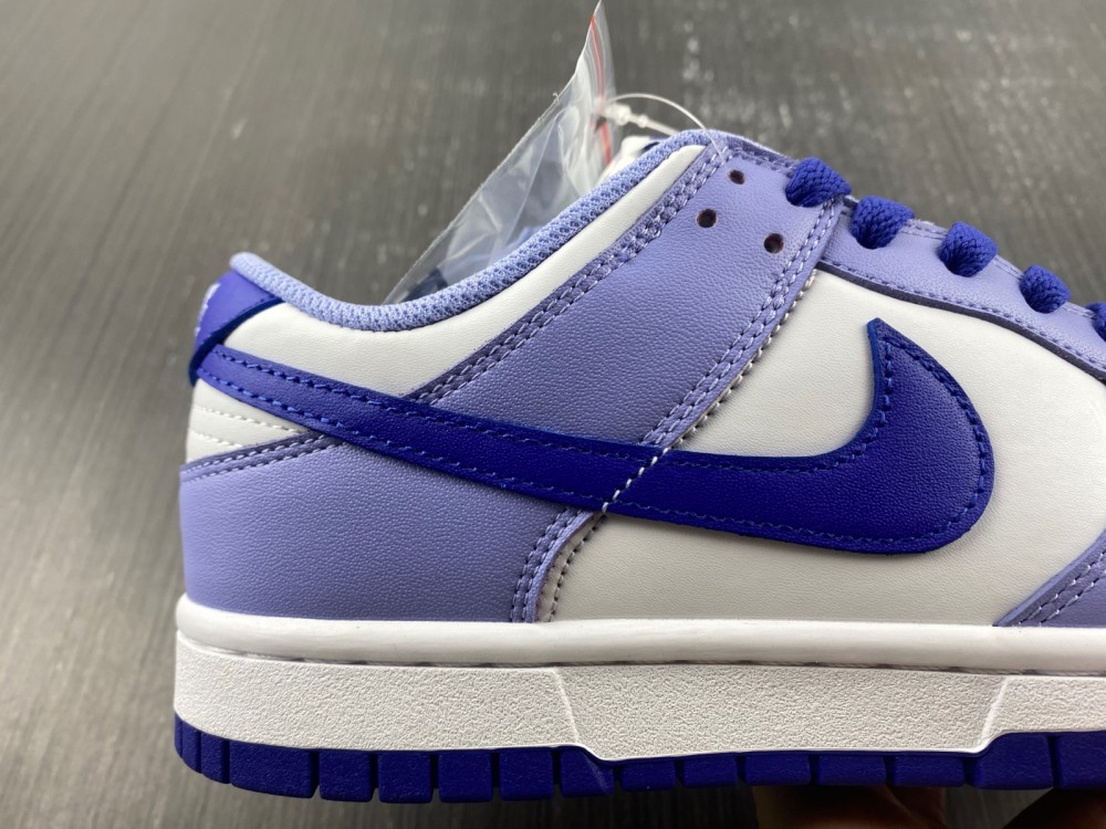 Nike Dunk Low Blueberry DZ4456-100