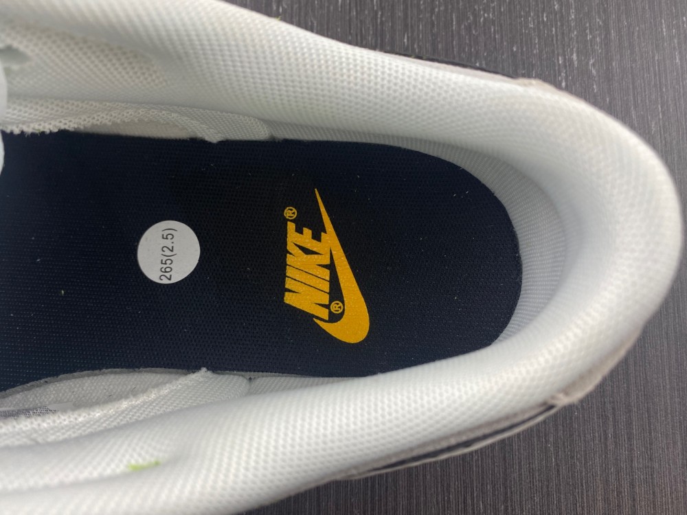 Nike Dunk Low SE 85 DO9457-100