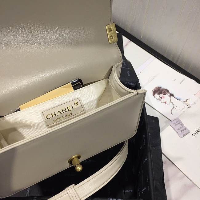 Channe1 Leboy bag 20cm