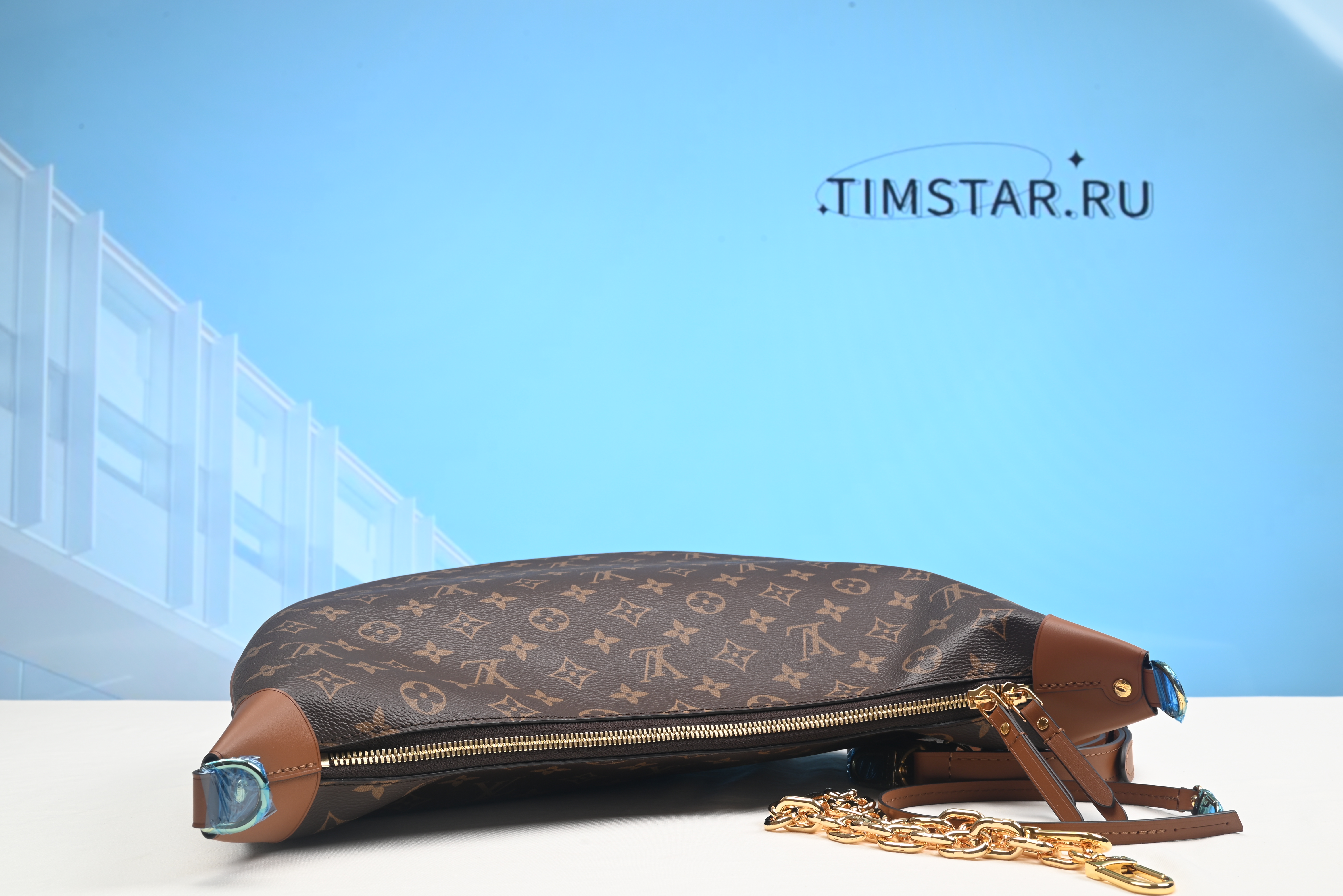 LsVttn Monogram Loop Hobo Bag M46311