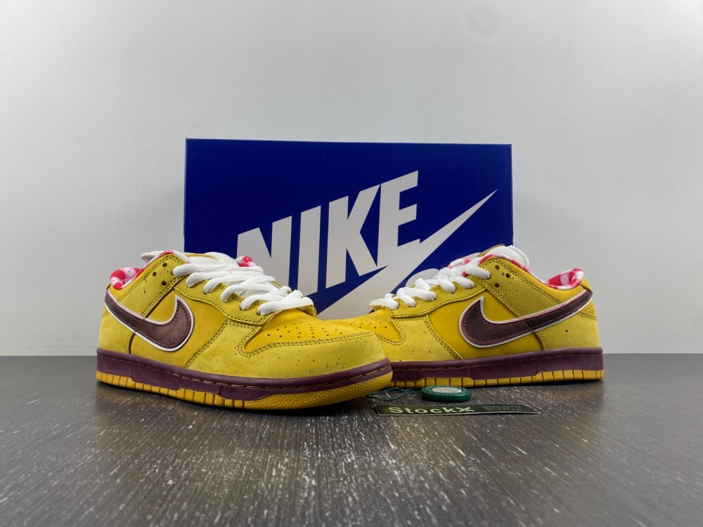 Nike Dunk Low Premium SB