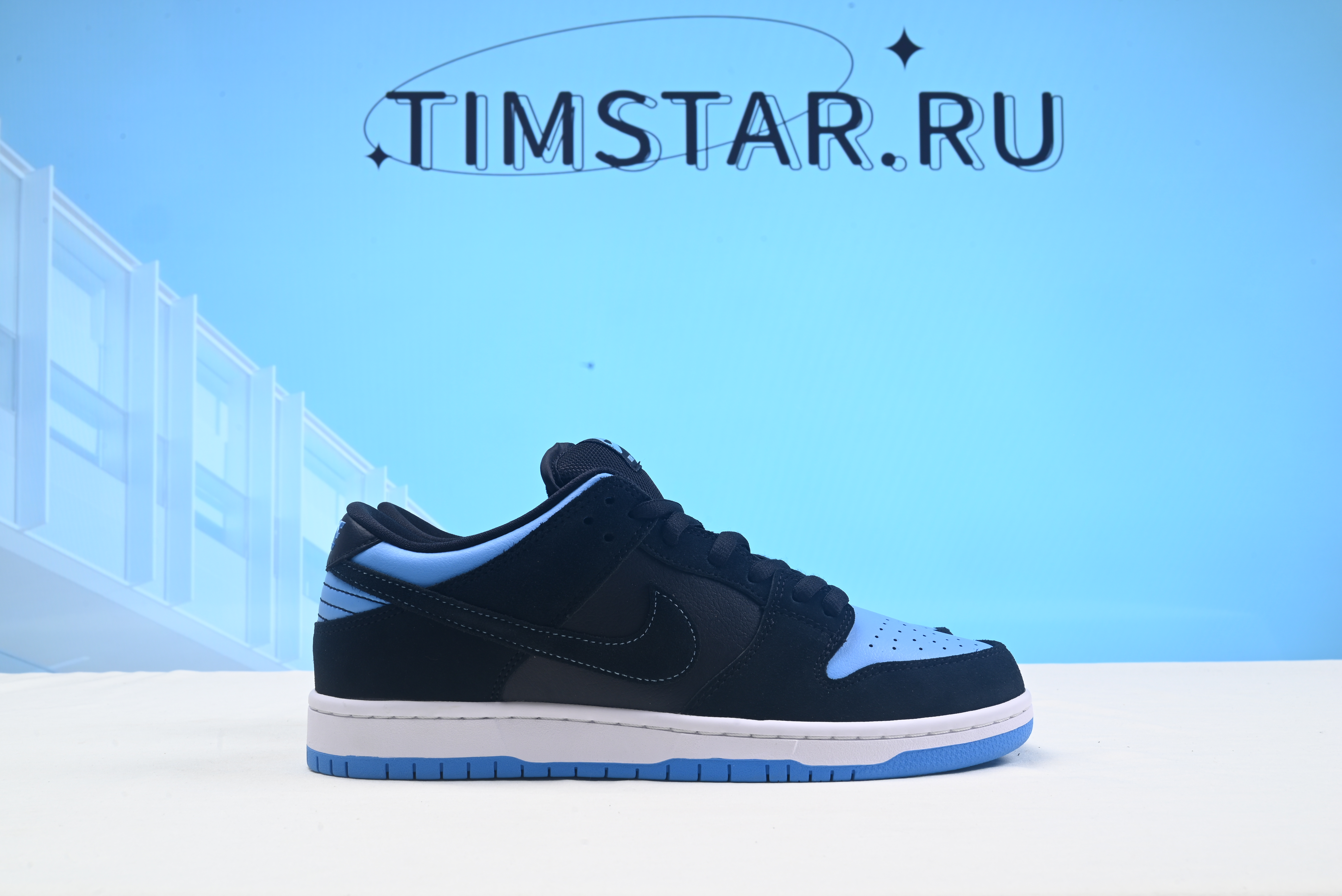Nike SB Dunk Low Pro 304292-048