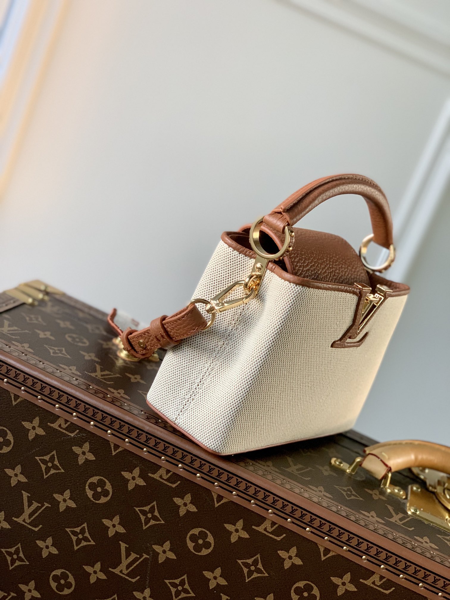 LsVttn Bag 108123285