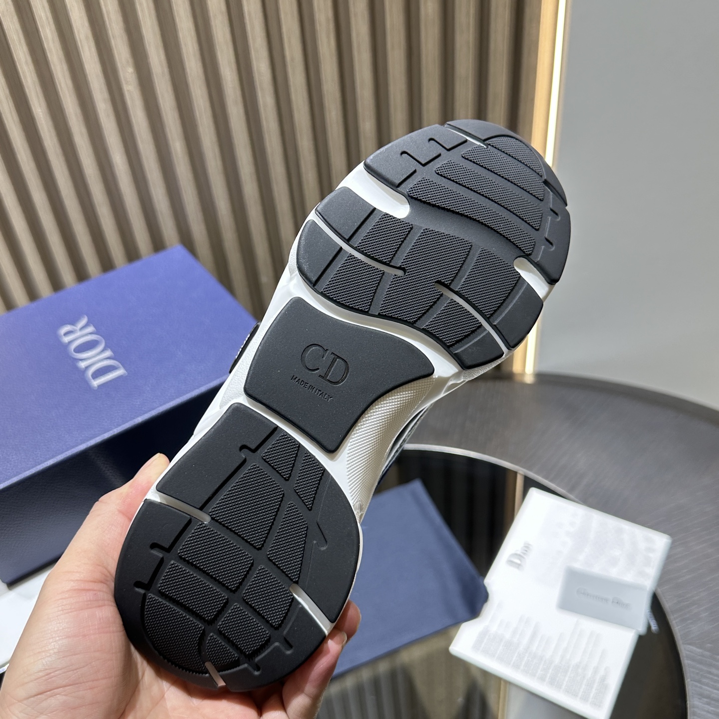 Dioorr B22 sneaker 07