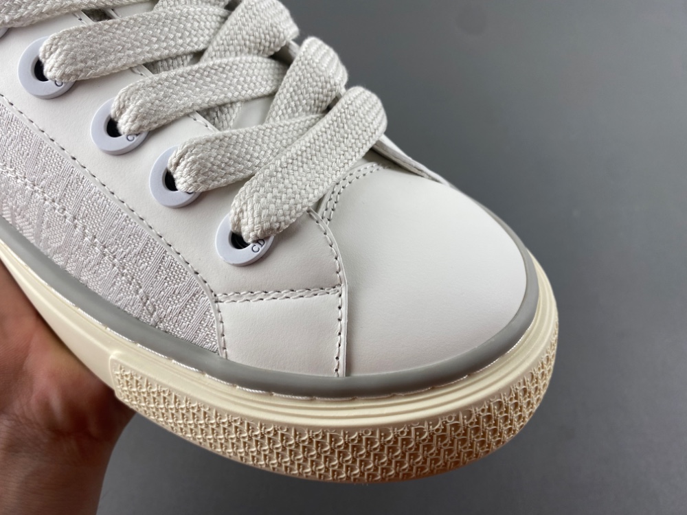 DIOR B27 Low Dior Oblique
