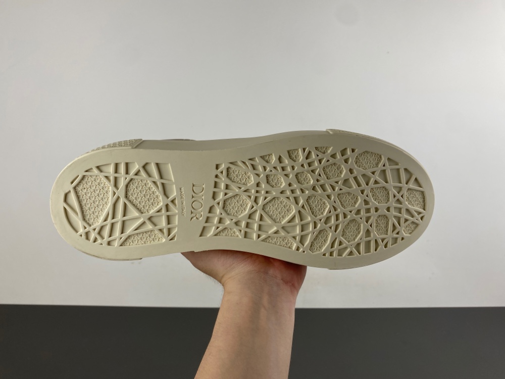 DIOR B27 Low Dior Oblique 02