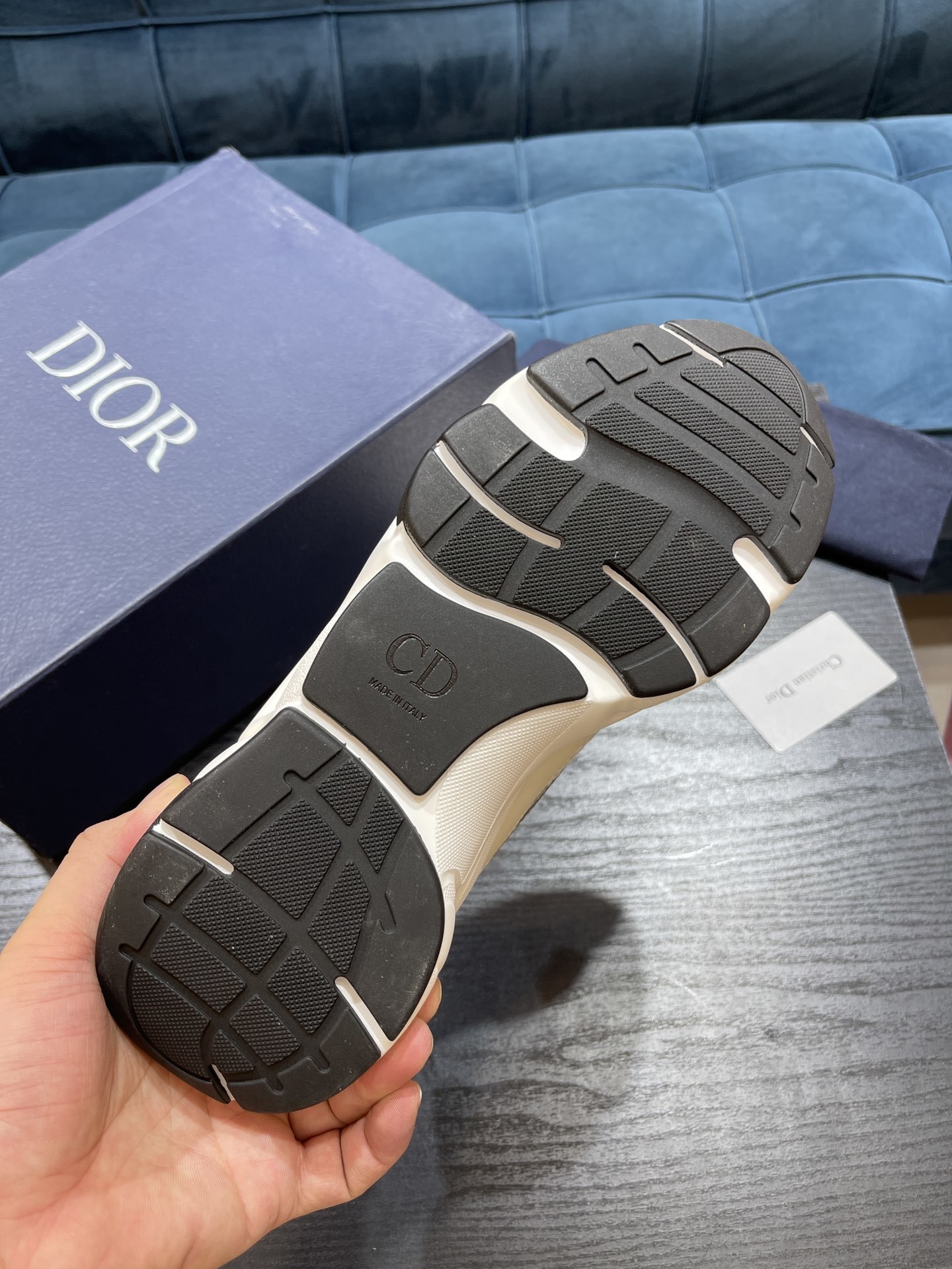 Dioorr B22 sneaker 10