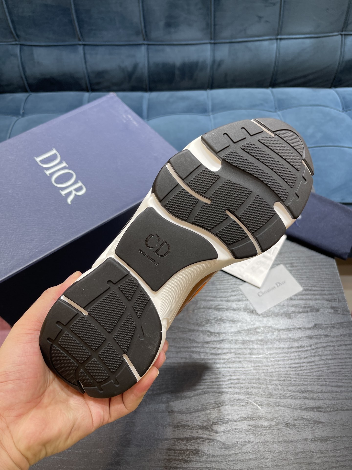 Dioorr B22 sneaker 12